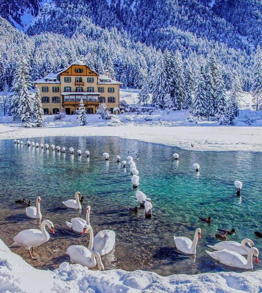 Apartments & Relax Greta Dobbiaco Luaran gambar
